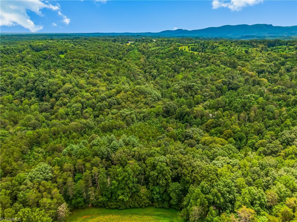 1451 John Ed Mabe Road Danbury, NC 27016 - Photo 6 of 39