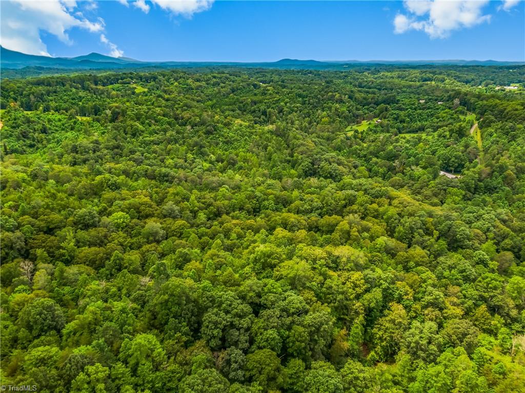 1451 John Ed Mabe Road Danbury, NC 27016 - Photo 9 of 39