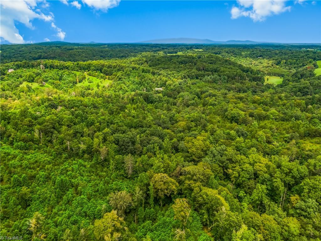 1451 John Ed Mabe Road Danbury, NC 27016 - Photo 10 of 39