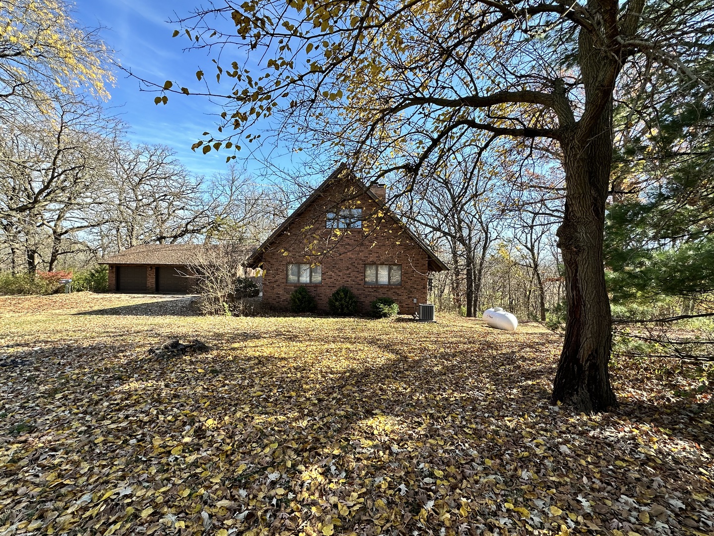 2191 Harvey Road Albany, IL 61230 - Photo 1 of 52 a tall tree in middle of the garden