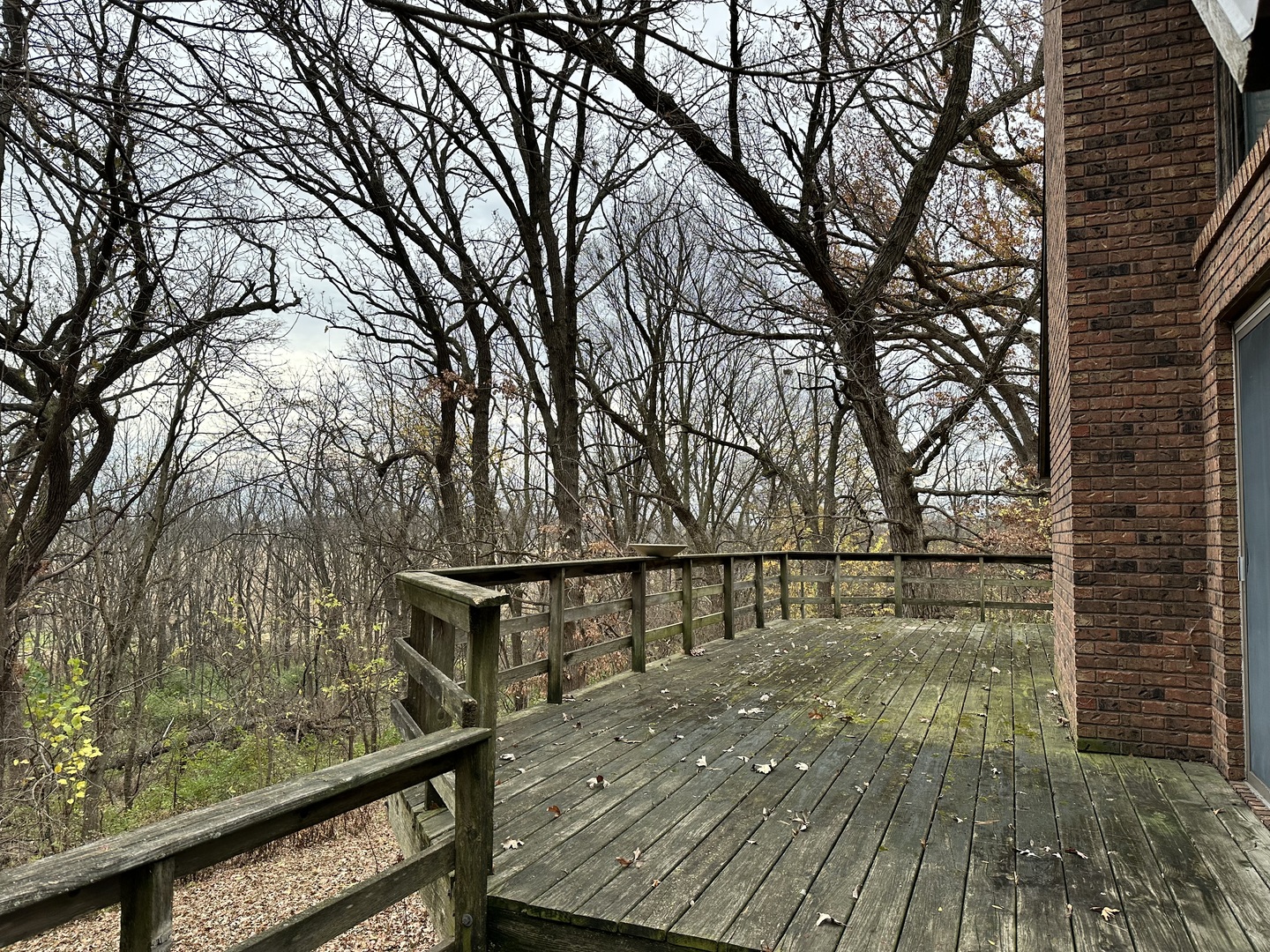 2191 Harvey Road Albany, IL 61230 - Photo 34 of 52 a view of wooden deck with a forest