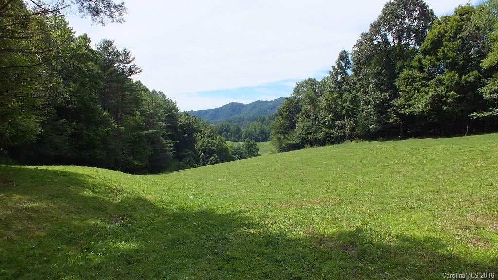 35.6-acres Cutshall Town Road Marshall, NC 28753 - Photo 1 of 24 Gallery Image 1