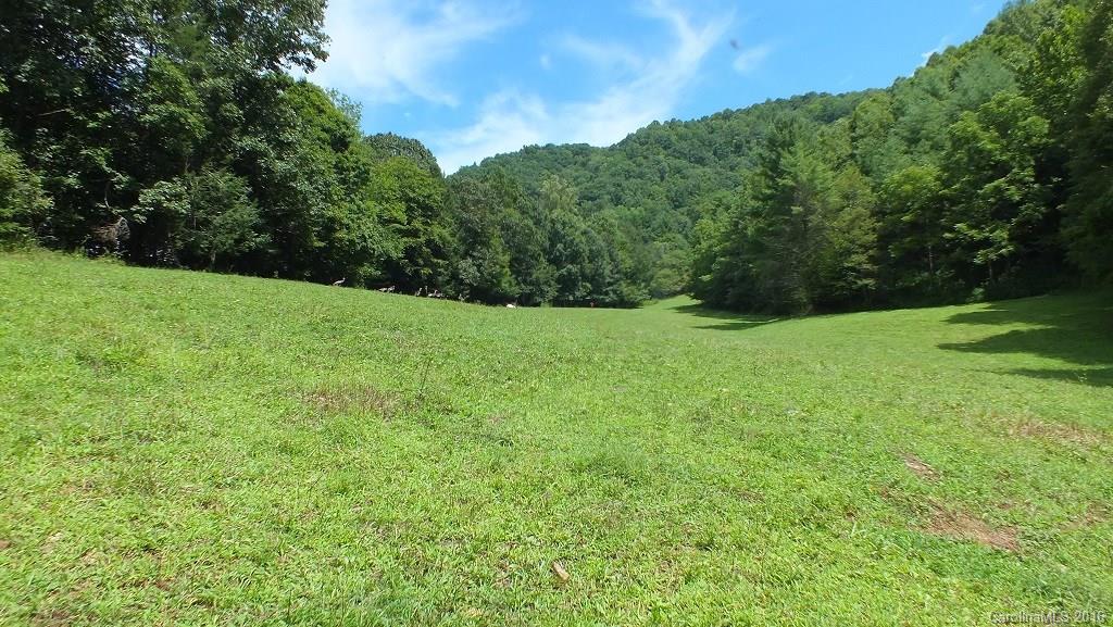 35.6-acres Cutshall Town Road Marshall, NC 28753 - Photo 2 of 24 Gallery Image 2