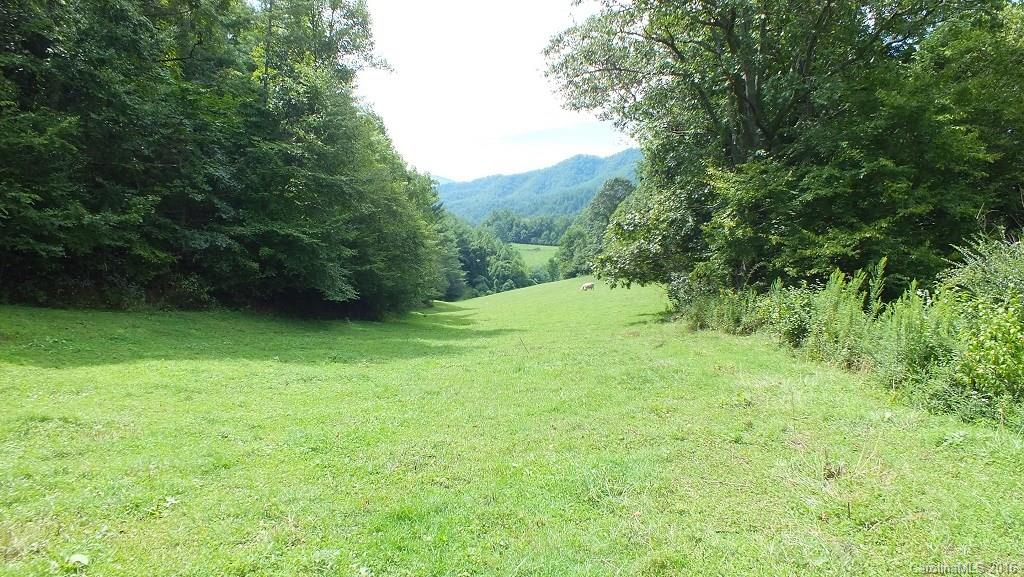 35.6-acres Cutshall Town Road Marshall, NC 28753 - Photo 11 of 24 Gallery Image 11