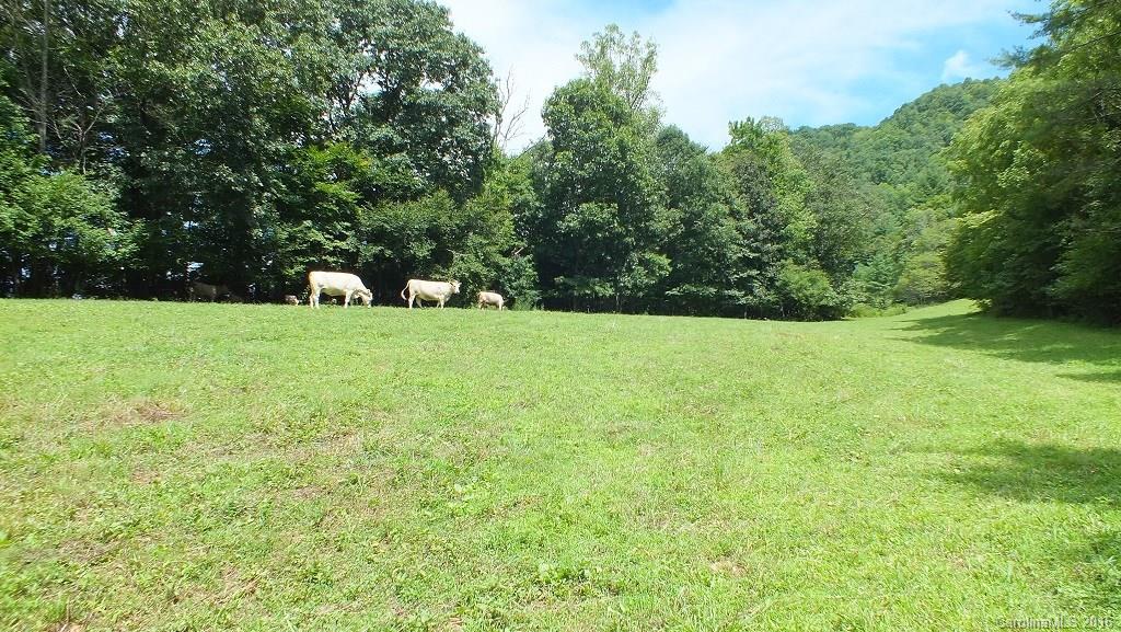 35.6-acres Cutshall Town Road Marshall, NC 28753 - Photo 13 of 24 Gallery Image 13