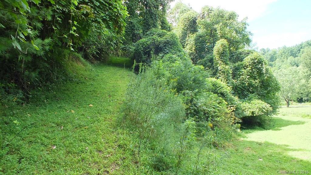 35.6-acres Cutshall Town Road Marshall, NC 28753 - Photo 14 of 24 Gallery Image 14