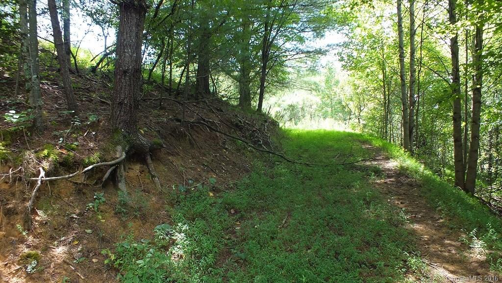 35.6-acres Cutshall Town Road Marshall, NC 28753 - Photo 15 of 24 Gallery Image 15