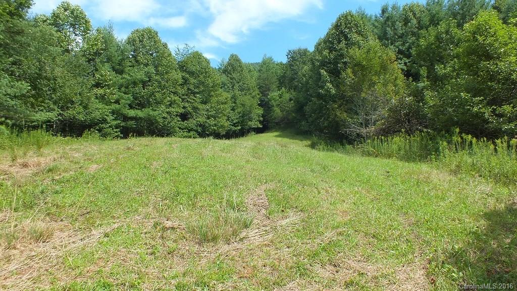 35.6-acres Cutshall Town Road Marshall, NC 28753 - Photo 16 of 24 Gallery Image 16