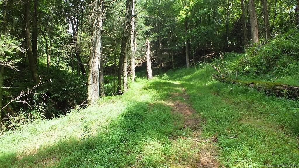35.6-acres Cutshall Town Road Marshall, NC 28753 - Photo 17 of 24 Gallery Image 17