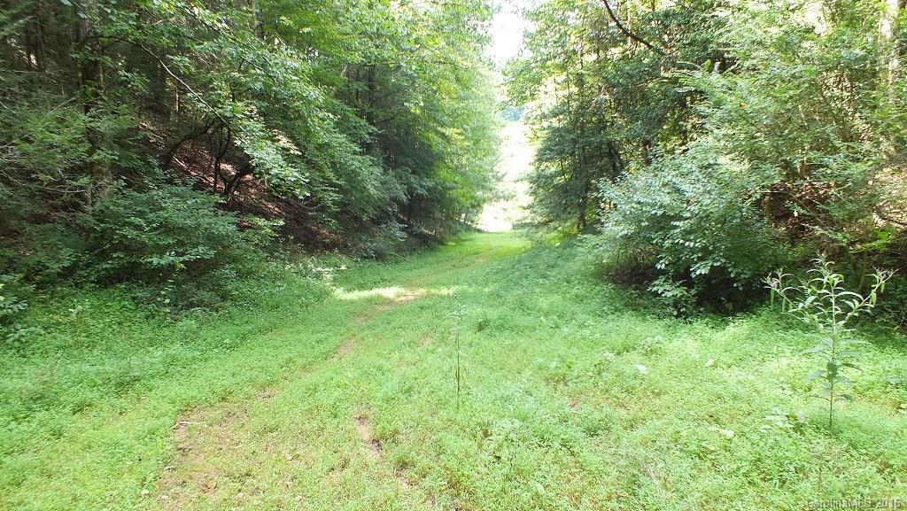 35.6-acres Cutshall Town Road Marshall, NC 28753 - Photo 18 of 24 Gallery Image 18