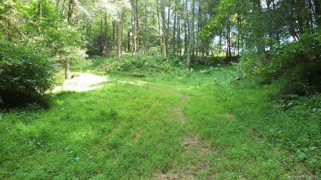 35.6-acres Cutshall Town Road Marshall, NC 28753 - Photo 19 of 24 Gallery Image 19