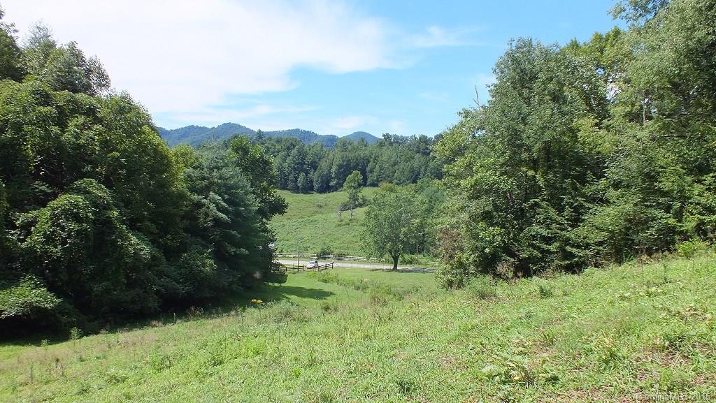 35.6-acres Cutshall Town Road Marshall, NC 28753 - Photo 3 of 24 Gallery Image 3