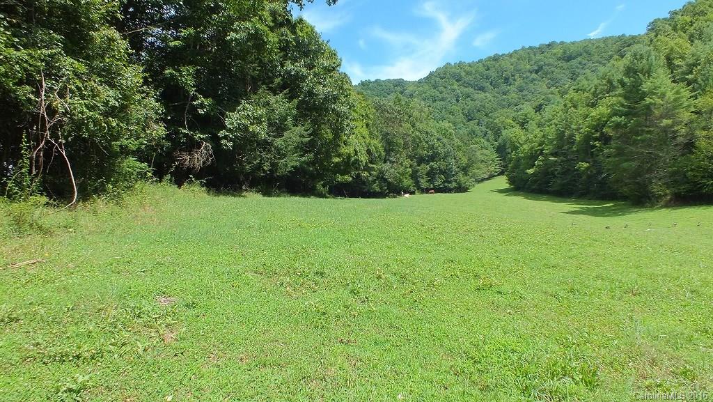 35.6-acres Cutshall Town Road Marshall, NC 28753 - Photo 4 of 24 Gallery Image 4