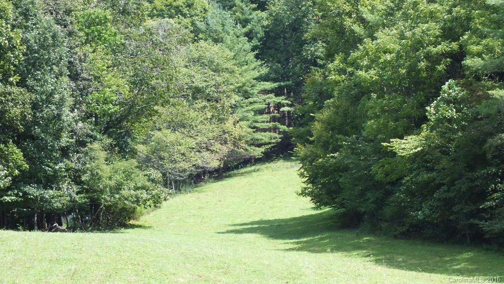 35.6-acres Cutshall Town Road Marshall, NC 28753 - Photo 5 of 24 Gallery Image 5