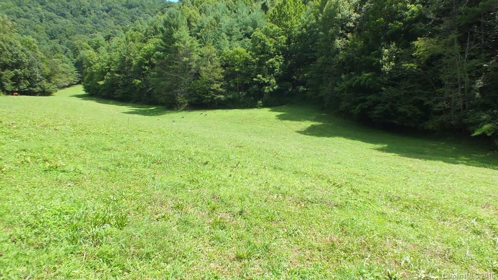 35.6-acres Cutshall Town Road Marshall, NC 28753 - Photo 7 of 24 Gallery Image 7