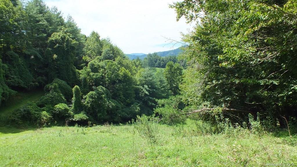 35.6-acres Cutshall Town Road Marshall, NC 28753 - Photo 8 of 24 Gallery Image 8