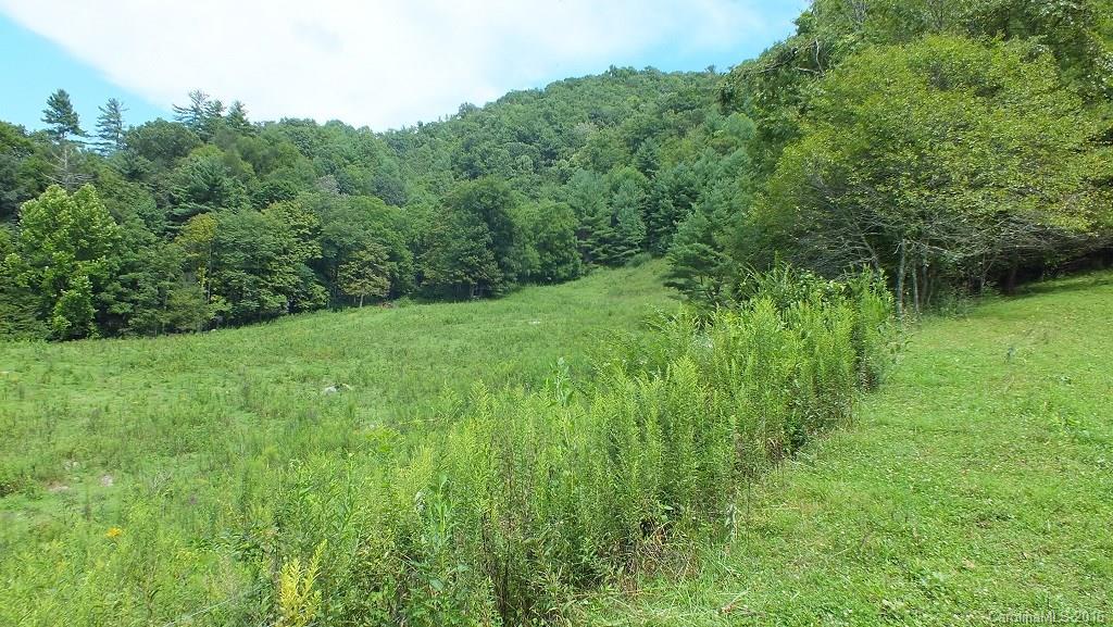 35.6-acres Cutshall Town Road Marshall, NC 28753 - Photo 9 of 24 Gallery Image 9