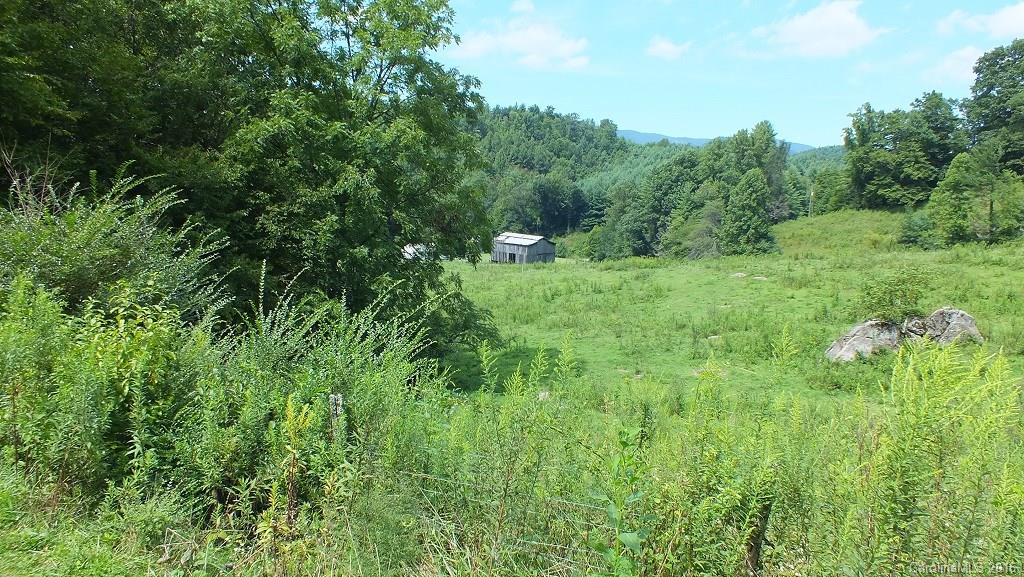 35.6-acres Cutshall Town Road Marshall, NC 28753 - Photo 10 of 24 Gallery Image 10