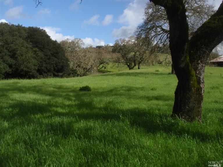 a view of grassy field with trees