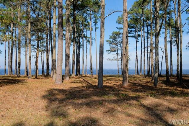 Tbd Cedar Shores Road Roper, NC 27970 - Photo 2 of 6
