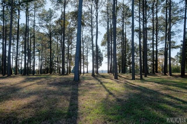 Tbd Cedar Shores Road Roper, NC 27970 - Photo 4 of 6