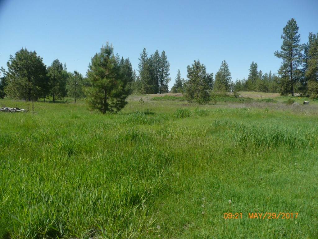 29209 West Tucker Prairie Road Edwall, WA 99008 - Photo 4 of 17 Gallery Image 4