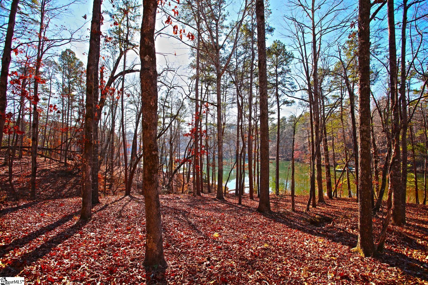 49 Sandyhook Court Salem, SC 29676 - Photo 24 of 42 Gallery Image 24