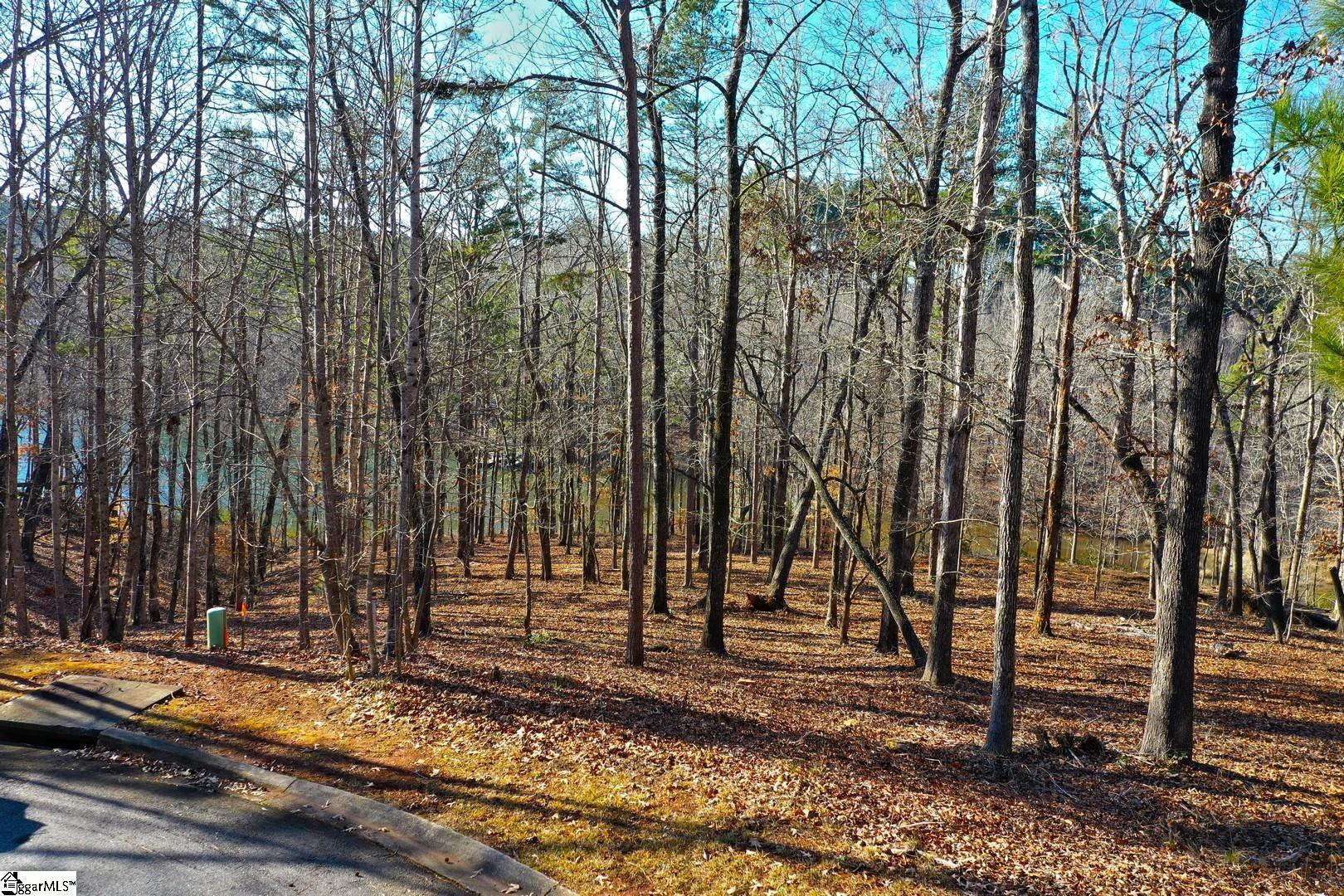 49 Sandyhook Court Salem, SC 29676 - Photo 3 of 42 Gallery Image 3