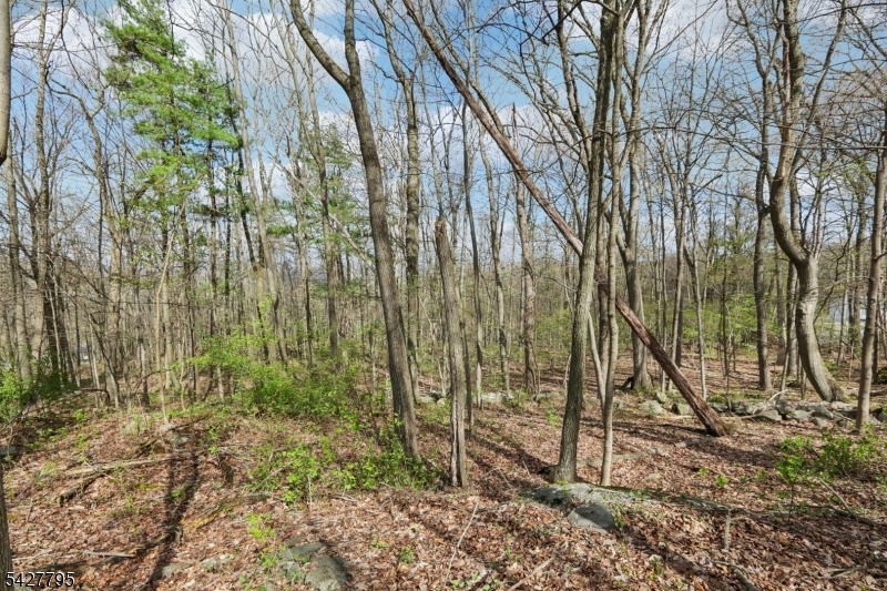 11 Alamoosook Road Vernon, NJ 07422 - Photo 7 of 49 Gallery Image 7