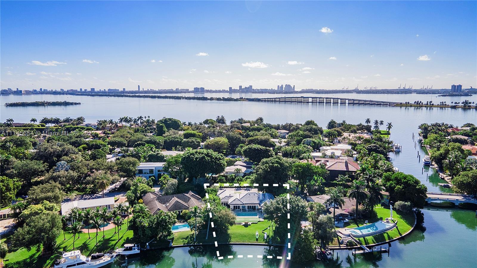 a picture of a city with lots of potted plants