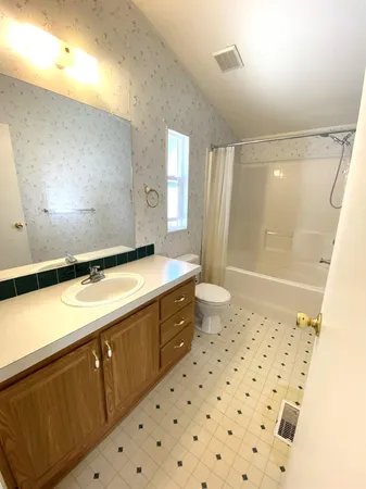 a bathroom with a sink a toilet a mirror and shower