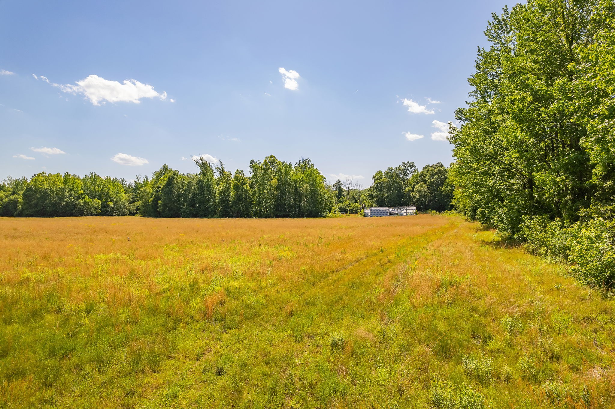 2800 Plainview Road Henderson, TN 38340 - Photo 2 of 25