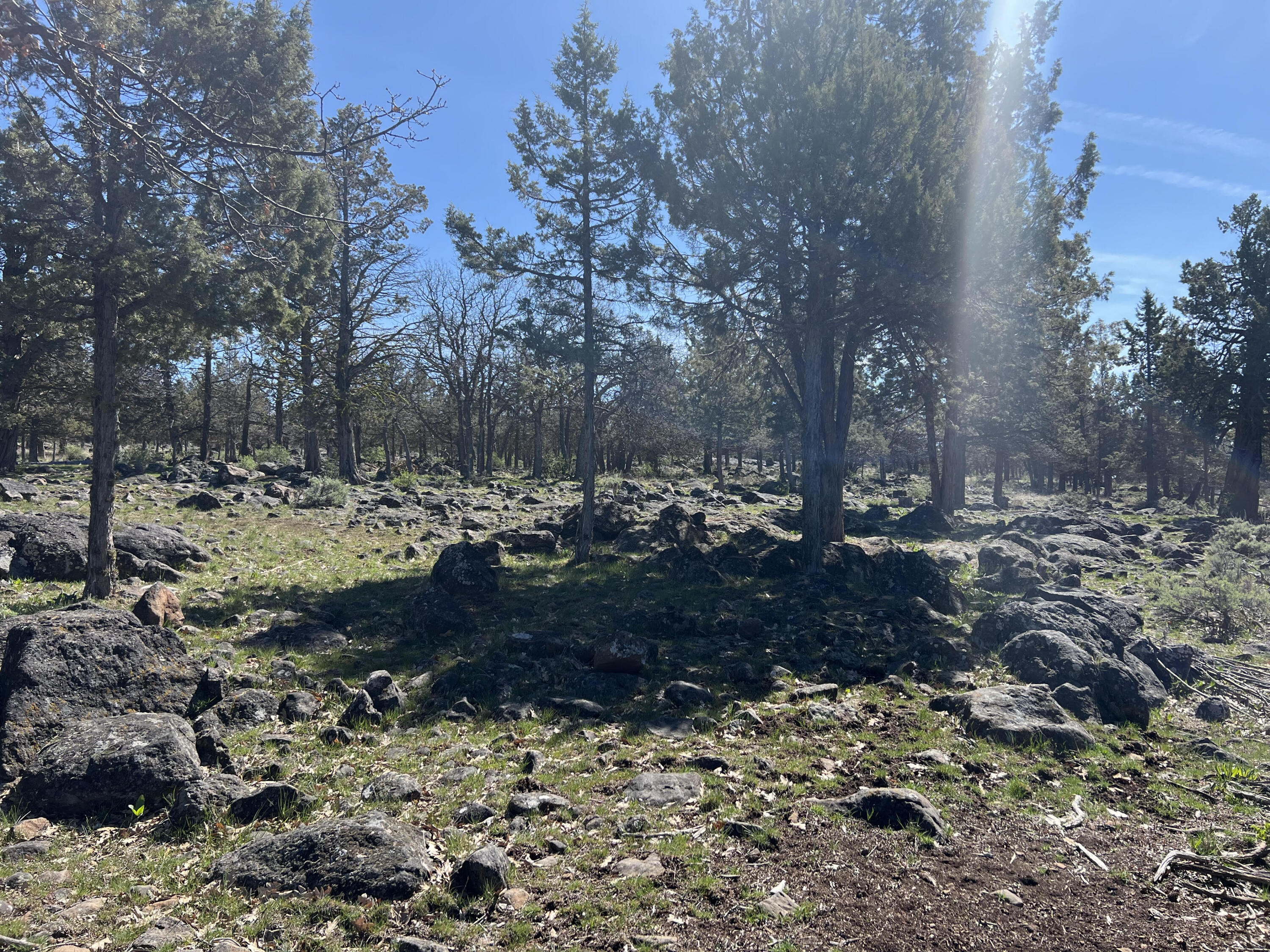 Lot 506 Dowitcher Road Klamath Falls, OR 97601 - Photo 1 of 3 Lot