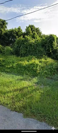 a view of a green yard