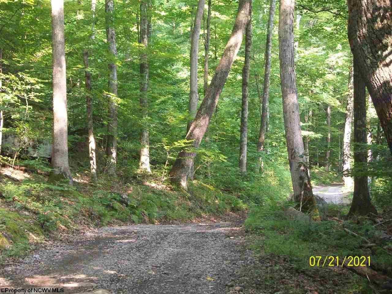 0 Dan Town Road Philippi, WV 26416 - Photo 3 of 9 Gallery Image 3