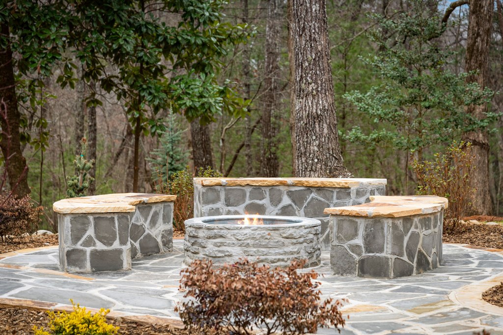 1830 Power Dam Road Blue Ridge, GA 30513 - Photo 12 of 52