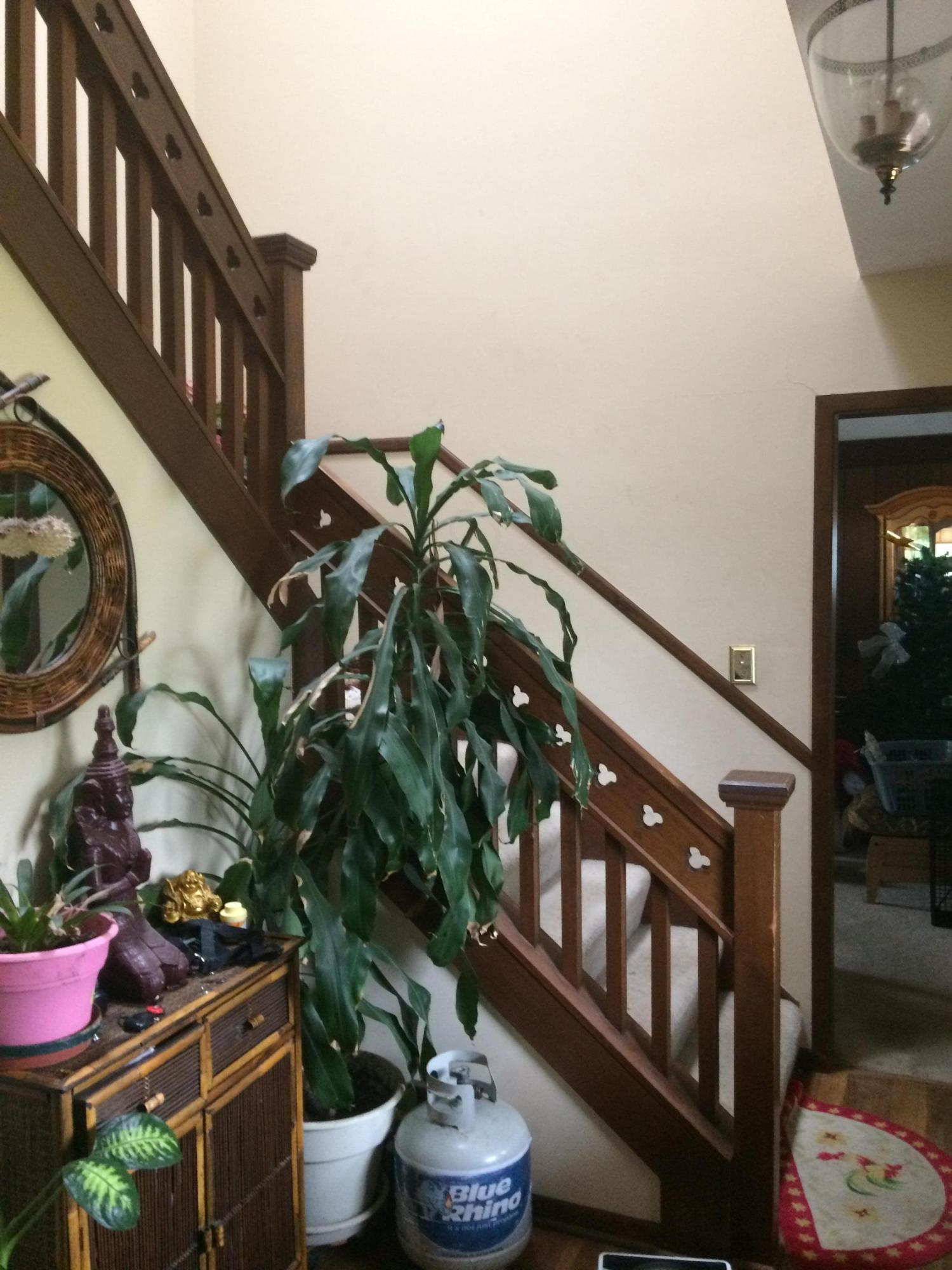 5615 Brand Road Dublin, OH 43017 - Photo 5 of 18