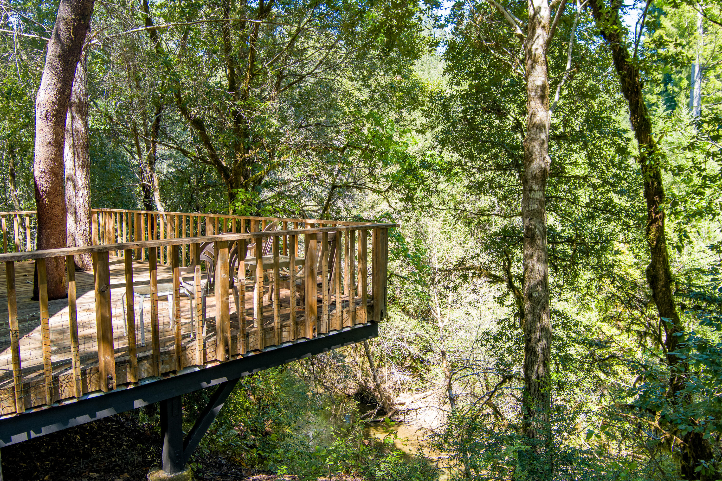 290 Green House Road Whitethorn, CA 95589 - Photo 26 of 73