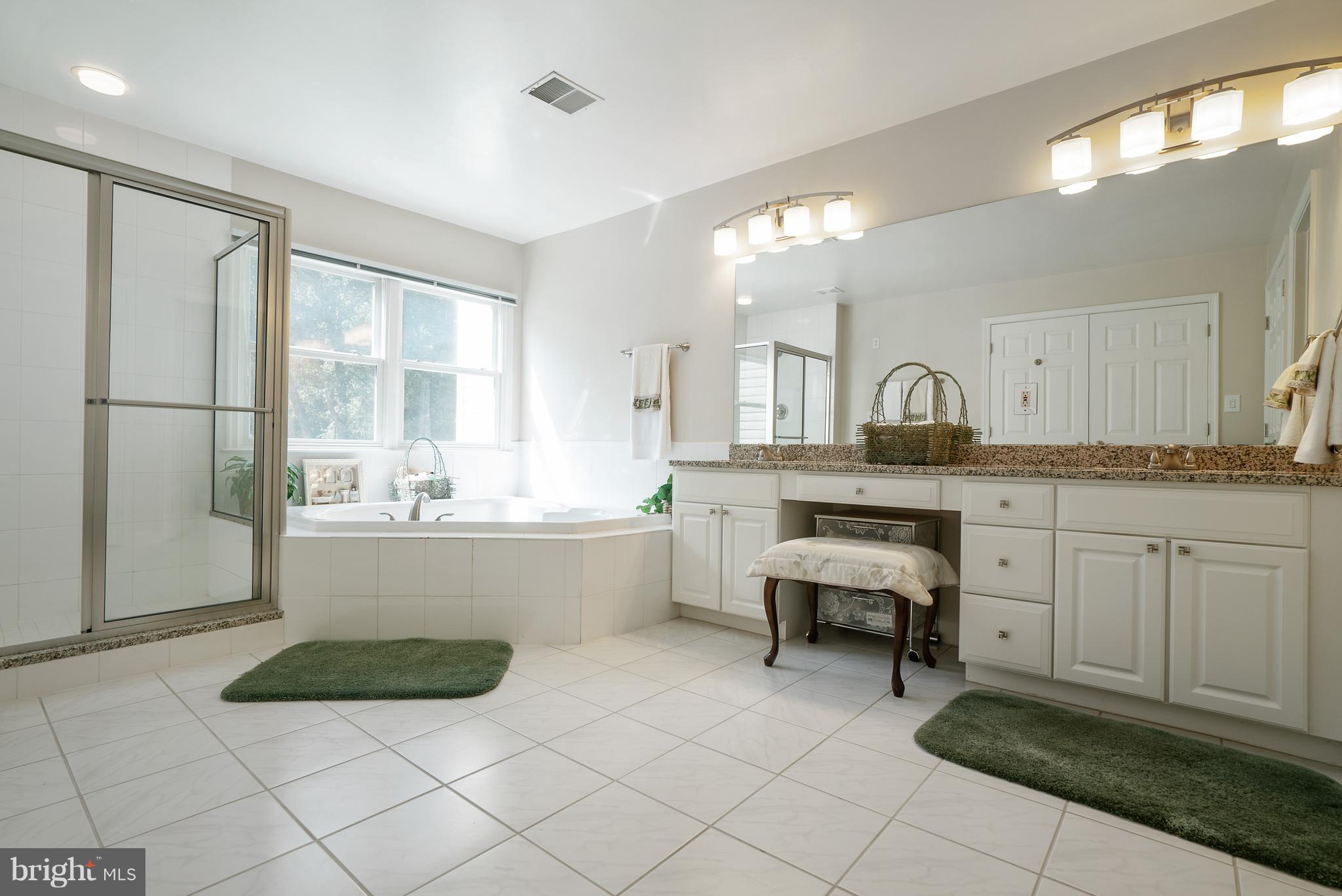 21310 Woodfield Road Gaithersburg, MD 20882 - Photo 14 of 34 Bath (Master)