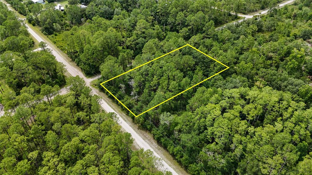 5446 Mango Avenue Bunnell, FL 32110 - Photo 13 of 17