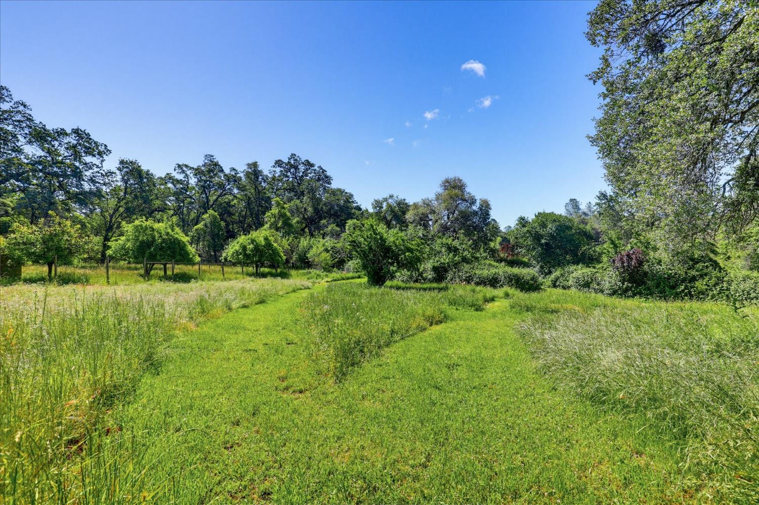 15301 Indian Springs Road Penn Valley, CA 95946 - Photo 83 of 99