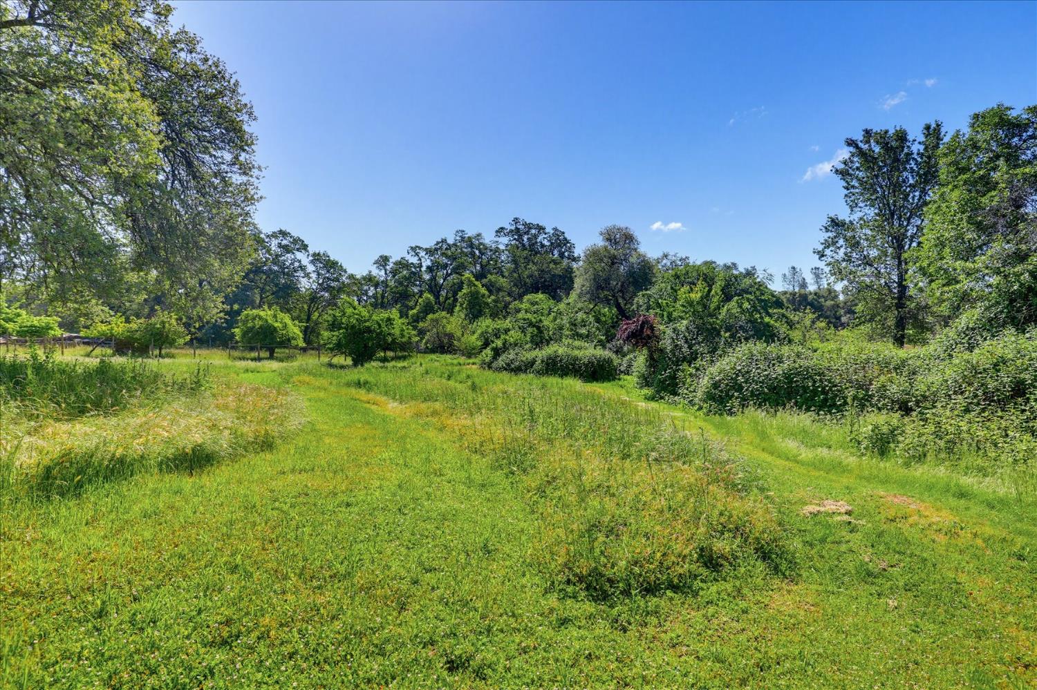15301 Indian Springs Road Penn Valley, CA 95946 - Photo 89 of 99