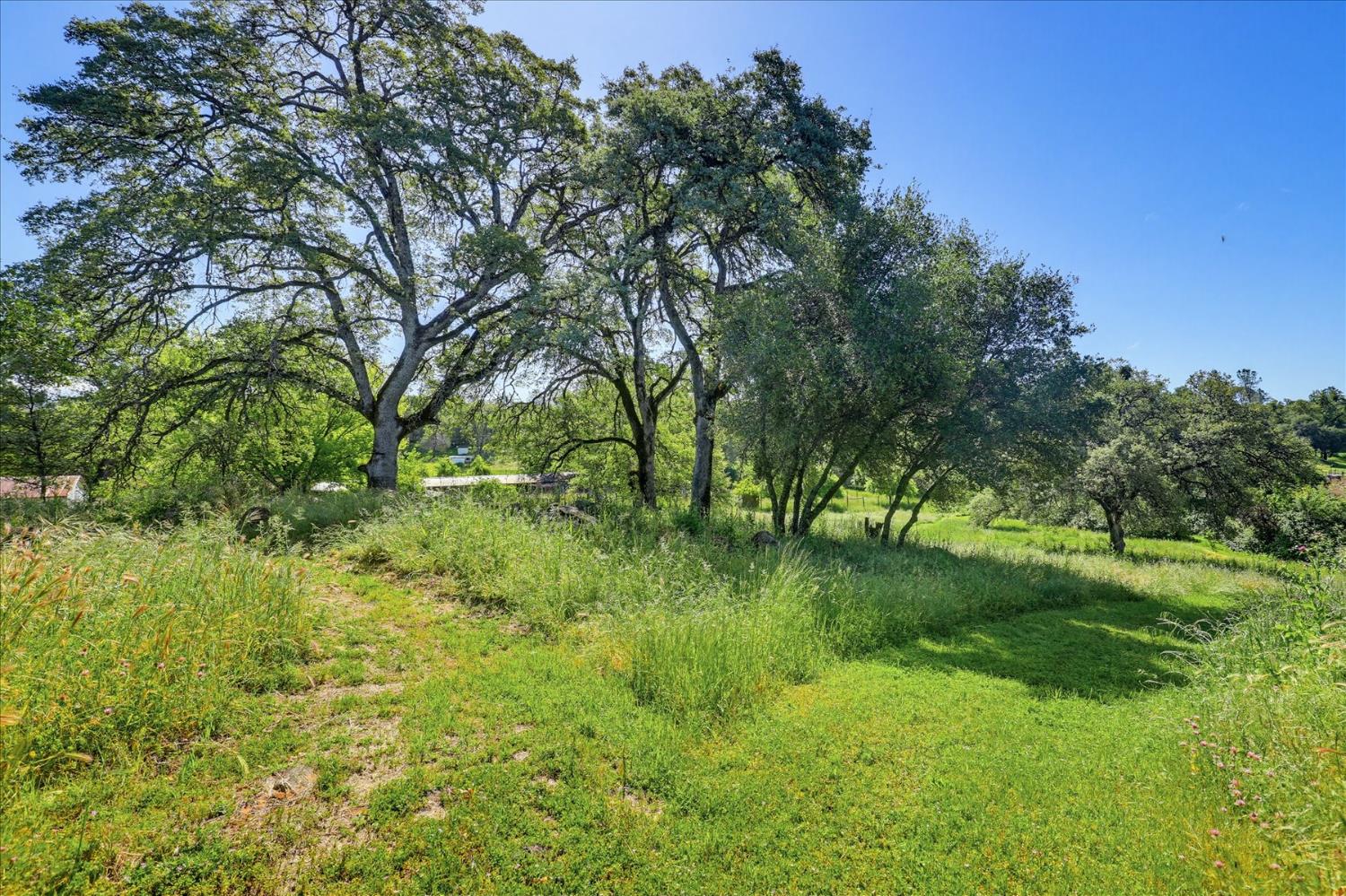15301 Indian Springs Road Penn Valley, CA 95946 - Photo 90 of 99