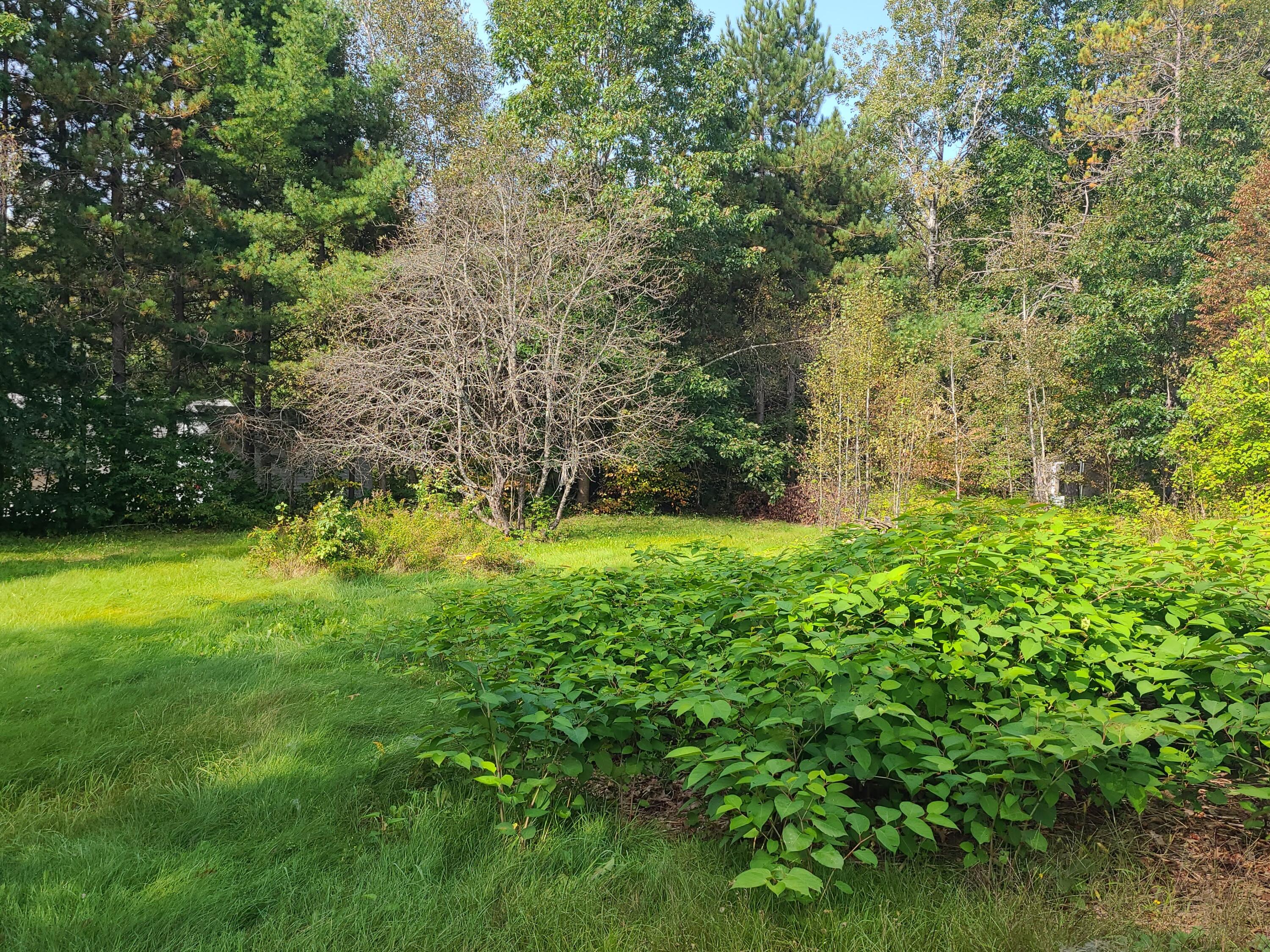 2352 Bennoch Road Old Town, ME 04468 - Photo 16 of 16 20230928_104257
