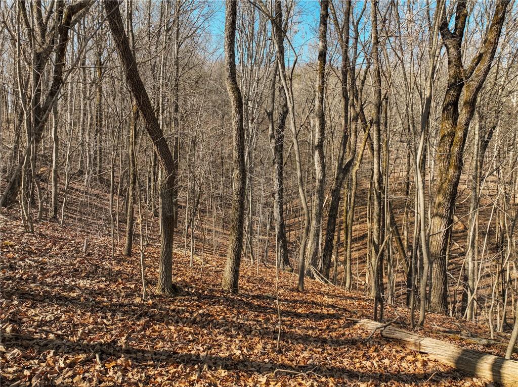 Lot 5 Mount Mincie Road Murrayville, GA 30564 - Photo 11 of 15 a backyard of a house with lots of green space