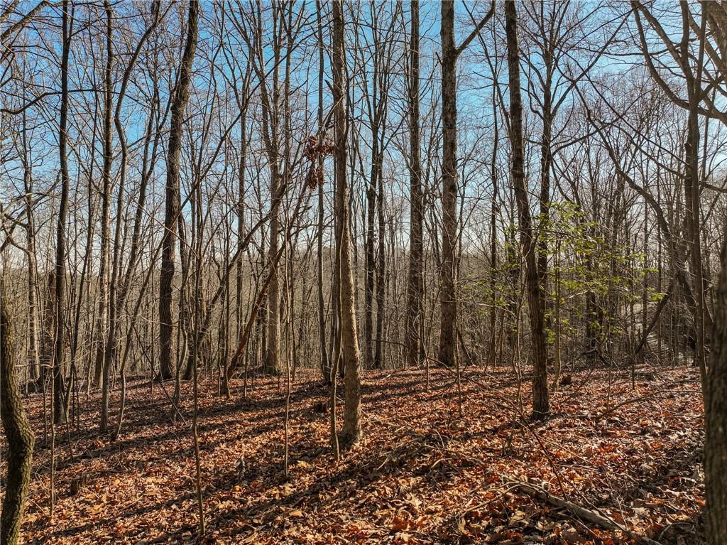 Lot 5 Mount Mincie Road Murrayville, GA 30564 - Photo 12 of 15 a backyard of a house with lots of green space