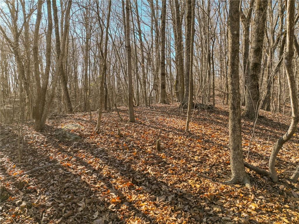 Lot 5 Mount Mincie Road Murrayville, GA 30564 - Photo 13 of 15 a view of wooden fence