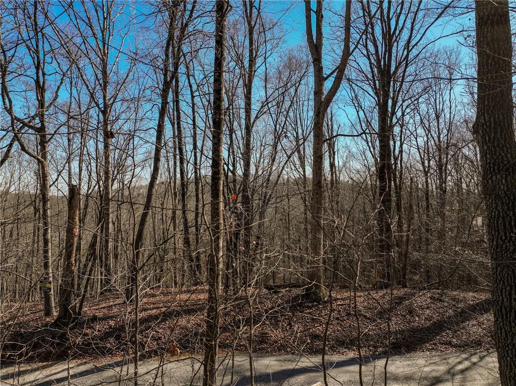 Lot 5 Mount Mincie Road Murrayville, GA 30564 - Photo 14 of 15 a view of a yard