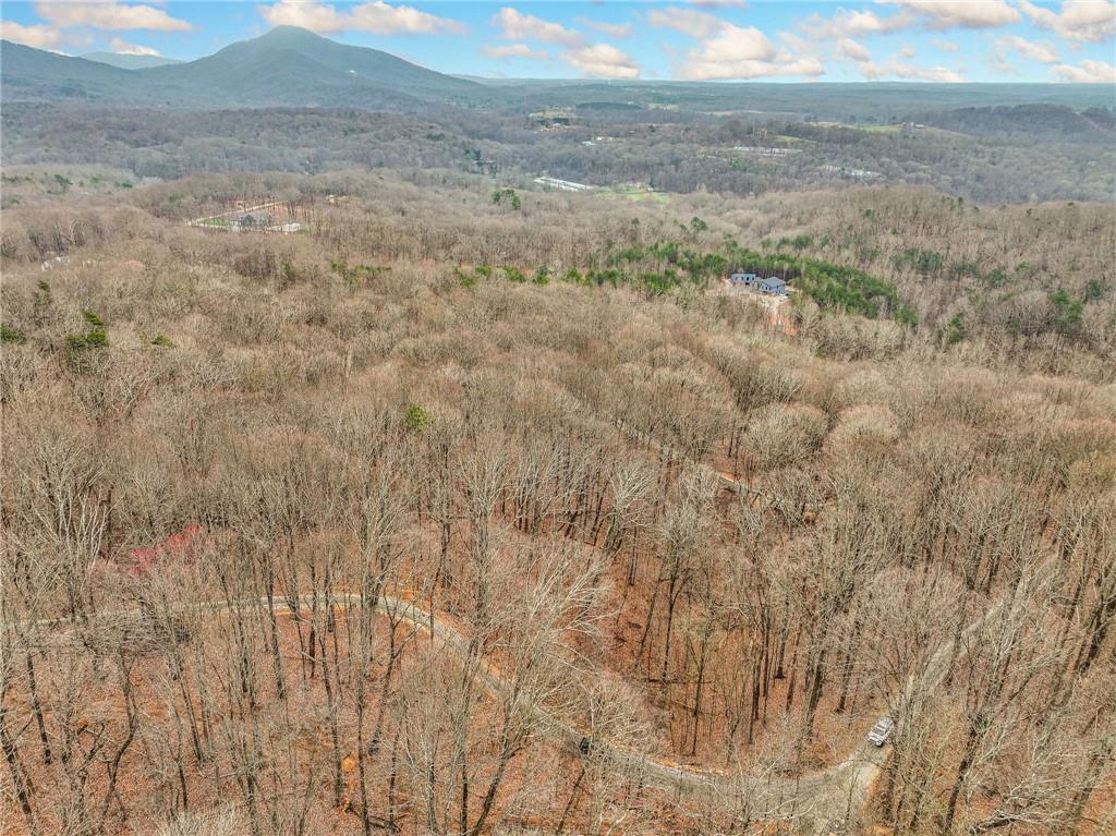 Lot 5 Mount Mincie Road Murrayville, GA 30564 - Photo 15 of 15 a view of beach