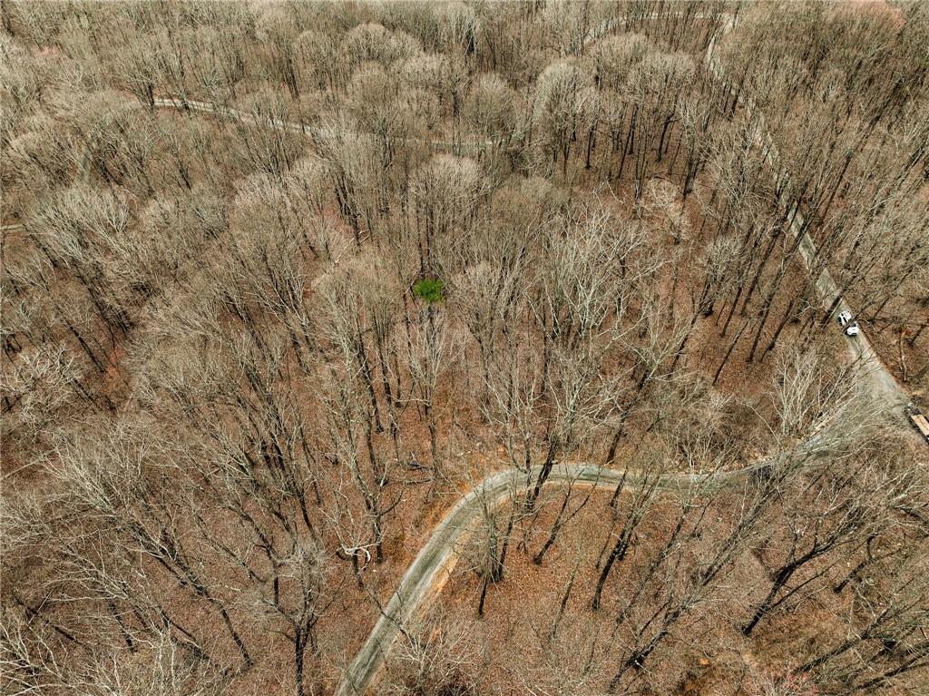 Lot 5 Mount Mincie Road Murrayville, GA 30564 - Photo 5 of 15 a view of a yard